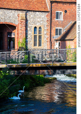 英國索爾斯伯里市風景 114571884