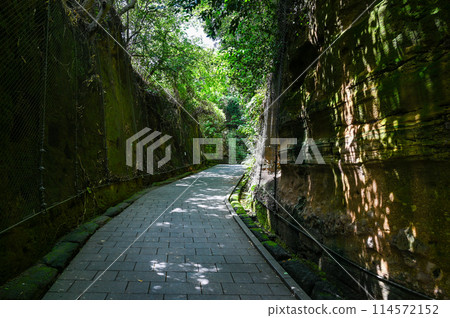 猿島，漂浮在東京灣的無人島 114572152