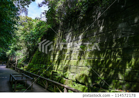 Sarushima, an uninhabited island in Tokyo Bay 114572178