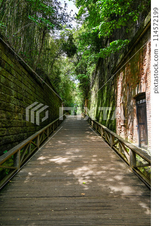 猿島，漂浮在東京灣的無人島 114572199