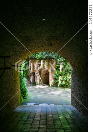 Sarushima, an uninhabited island in Tokyo Bay 114572231