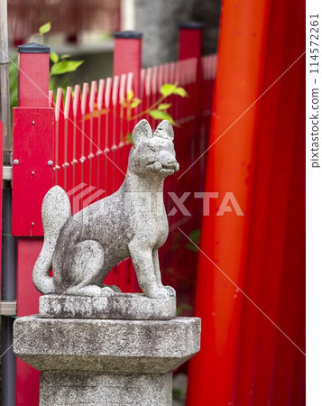 宇利羽天神社境內的金古稻荷大名神狐 宇利羽天神社境內的金古稻荷大名神狐 114572261