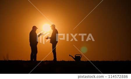 Two male farmers communicate in a field at sunset, shaking hands 114572886