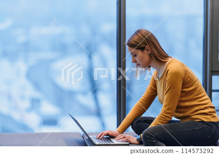 A businesswoman utilizes her laptop while seated by the window of a large corporate building, offering a picturesque view of the city skyline as her backdrop. 114573292