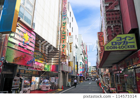 秋葉原電器城 秋葉原電器城 114573314