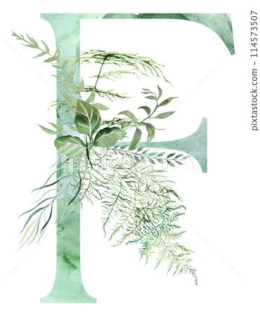 Green letter F with Watercolor whimsical tender leaves isolated illustration, wedding element Green letter F with Watercolor whimsical tender leaves isolated illustration, wedding element 114573507
