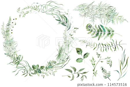 Frame and elements Watercolor fragile stems and tiny green leaves wedding isolated illustration 114573516