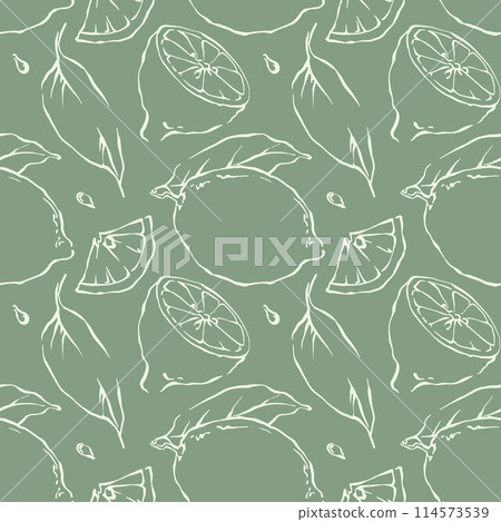 Lemon vector seamless pattern with outline fruits contour on green background  114573539