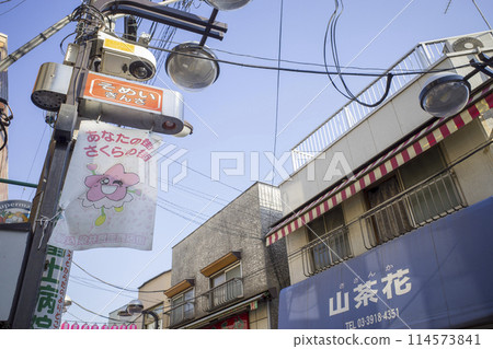 市區景觀 市區景觀 114573841
