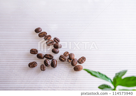 咖啡豆 咖啡豆 114573940