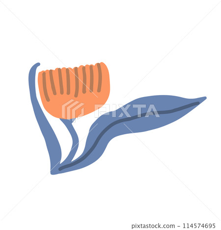 Colorful floral doodle illustration in a trendy style 114574695