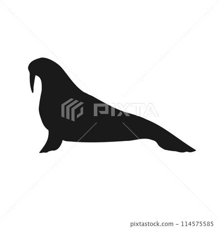 Vector hand drawn walrus silhouette Vector hand drawn walrus silhouette 114575585