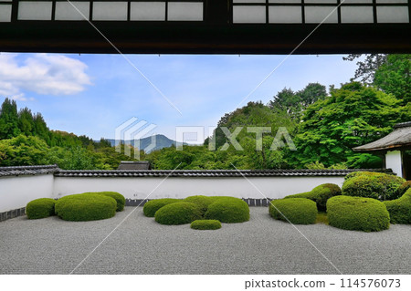 春天的京都市北區正傳寺獅子之渡庭園 114576073