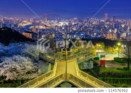 Hiroshima city night view from Ryuo Park with cherry blossoms in full bloom (Hiroshima City, Hiroshima Prefecture) Hiroshima city night view from Ryuo Park with cherry blossoms in full bloom (Hiroshima City, Hiroshima Prefecture) 114576362