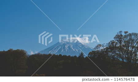 從忍野八海看美麗的富士山 114576478