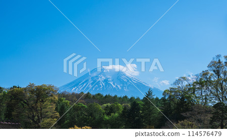 從忍野八海看美麗的富士山 114576479