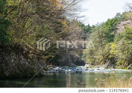 A quiet river 114576941