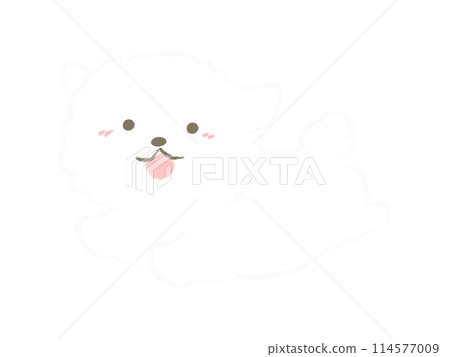 沒有主線的走狗比熊捲毛的插圖 114577009