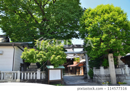 Isesaki Shrine, a power spot in Isesaki City, Gunma Prefecture 114577316