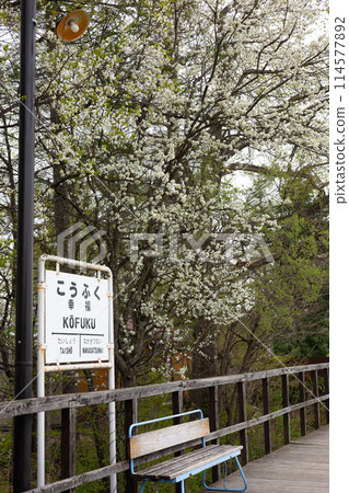 十勝幸福站 (16) 十勝幸福站 (16) 114577892