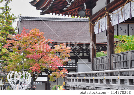 京都鬆尾大社 美麗的秋葉、塔門和參拜殿(京都府京都市西京區) 京都鬆尾大社 美麗的秋葉、塔門和參拜殿(京都府京都市西京區) 114578298