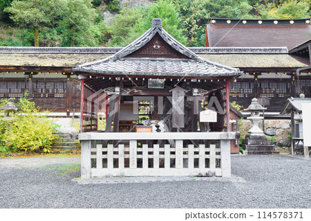 京都鬆尾大社相生之松（京都府京都市西京區） 114578371