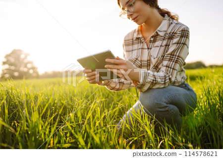 A woman farmer with modern tablet evaluates the shoots with her hand. Farm work with digital tablet. A woman farmer with modern tablet evaluates the shoots with her hand. Farm work with digital tablet. 114578621
