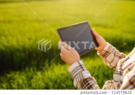 A woman farmer with modern tablet evaluates the shoots with her hand. Farm work with digital tablet. A woman farmer with modern tablet evaluates the shoots with her hand. Farm work with digital tablet. 114578626