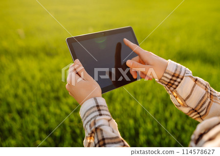 A woman farmer with modern tablet evaluates the shoots with her hand. Farm work with digital tablet. A woman farmer with modern tablet evaluates the shoots with her hand. Farm work with digital tablet. 114578627