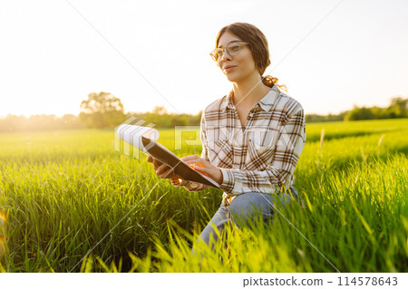 Woman agronomist in a field of milled wheat with tablet checks the growth of crop. Harvest concept. Woman agronomist in a field of milled wheat with tablet checks the growth of crop. Harvest concept. 114578643