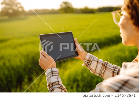 A woman farmer with modern tablet evaluates the shoots with her hand. Farm work with digital tablet. A woman farmer with modern tablet evaluates the shoots with her hand. Farm work with digital tablet. 114578671