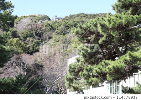 View of Mount Naruto from Senjojiki Observatory (Naruto Strait, Tokushima Prefecture, Hyogo Prefecture) View of Mount Naruto from Senjojiki Observatory (Naruto Strait, Tokushima Prefecture, Hyogo Prefecture) 114578932