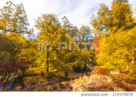 Alfred Nicholas Memorial Gardens in Australia 114579078