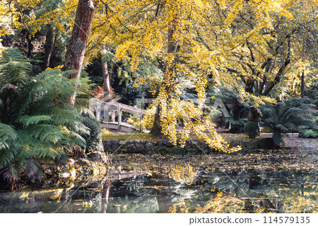 Alfred Nicholas Memorial Gardens in Australia Alfred Nicholas Memorial Gardens in Australia 114579135