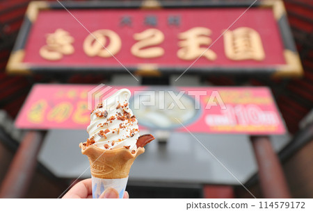 Mushroom Kingdom - Shiitake Mushroom Soft Serve Mushroom Kingdom - Shiitake Mushroom Soft Serve 114579172