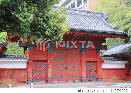 東京大學赤門 東京大學赤門 114579312