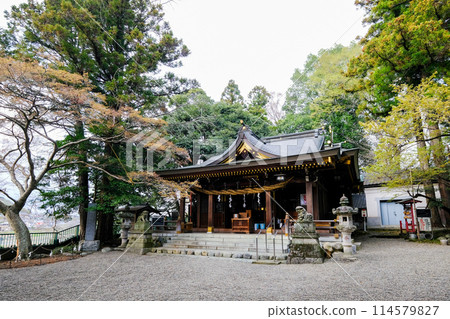 Tokyo, Hamura City, Spring, Aso Shrine, Main Hall Tokyo, Hamura City, Spring, Aso Shrine, Main Hall 114579827