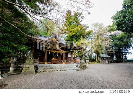 東京羽村市, 春天, 阿蘇神社正殿 114580139