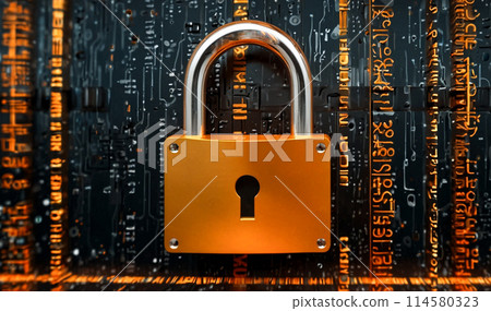 Padlock Cyberspace Padlock Cyberspace 114580323
