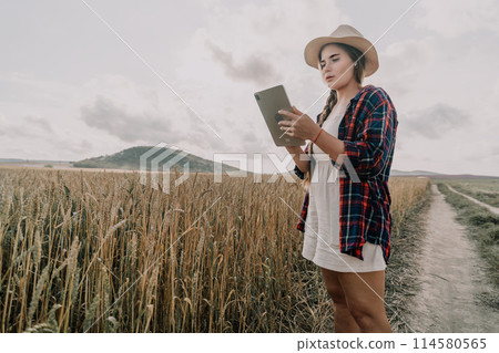 Woman wheat field. Agronomist, Woman farmer check golden ripe barley spikes in cultivated field. Closeup of female hand on plantation in agricultural crop management concept. Slow motion Woman wheat field. Agronomist, Woman farmer check golden ripe barley spikes in cultivated field. Closeup of female hand on plantation in agricultural crop management concept. Slow motion 114580565