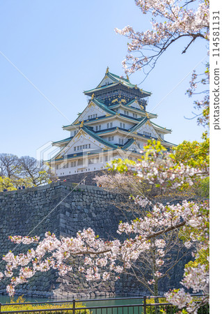 [櫻花]春天的大阪城公園[大阪城天守閣] 114581131
