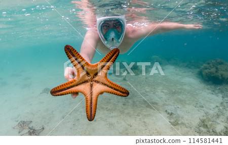 Snorkeler reaches for starfish in crystal clear tropical waters 114581441