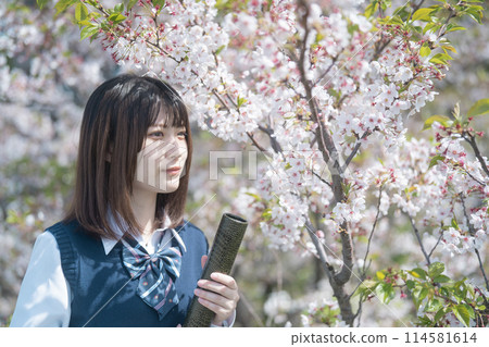櫻花、畢業、女高中生 櫻花、畢業、女高中生 114581614