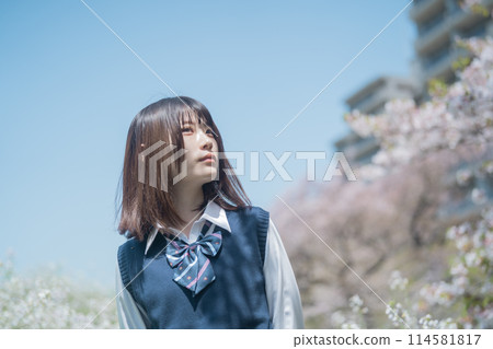 Sakura and school girls Sakura and school girls 114581817