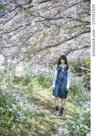 櫻花和學校的女孩 櫻花和學校的女孩 114581820