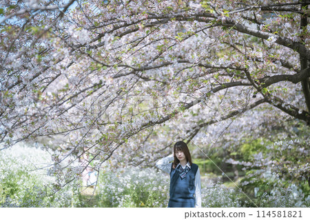櫻花和學校的女孩 櫻花和學校的女孩 114581821