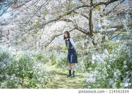 櫻花和學校的女孩 櫻花和學校的女孩 114581834
