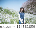 Sakura and school girls 114581859