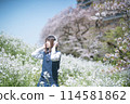 Headphones, cherry blossoms and high school girl 114581862