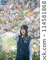 Headphones, cherry blossoms and high school girl 114581868